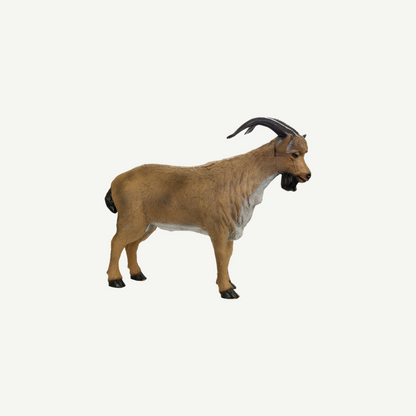 3D Target Franzbogen Mountain Goat