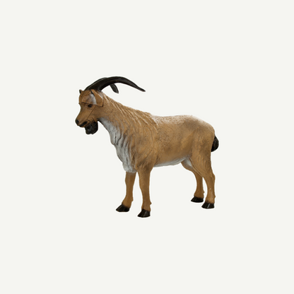 3D Target Franzbogen Mountain Goat