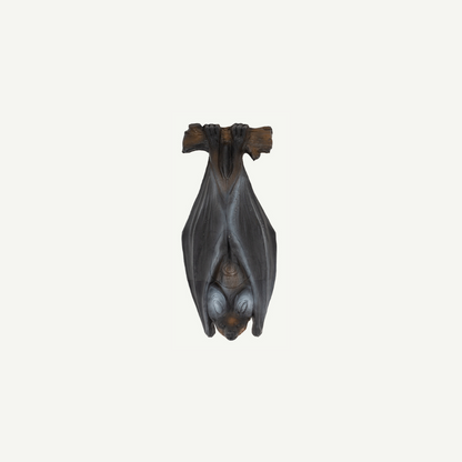 Longlife Flying Fox