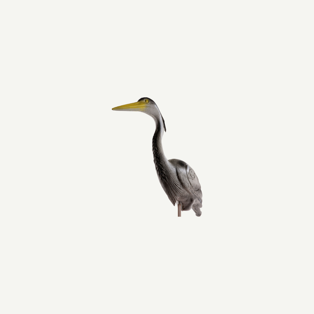 Longlife Heron