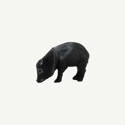 Longlife Javelina Sow