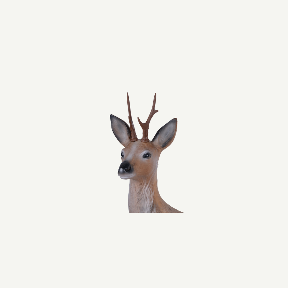 Longlife Lying Roebuck