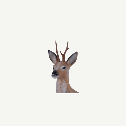 Longlife Lying Roebuck