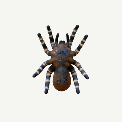 Leitold Vogelspinne