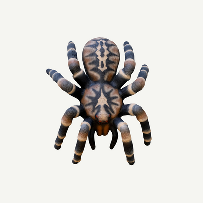 Leitold Vogelspinne