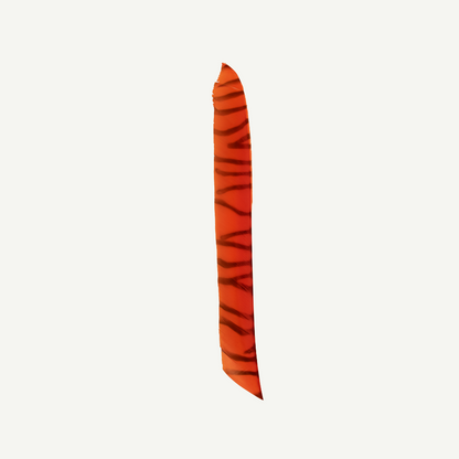 Feather RW Full Length zebra