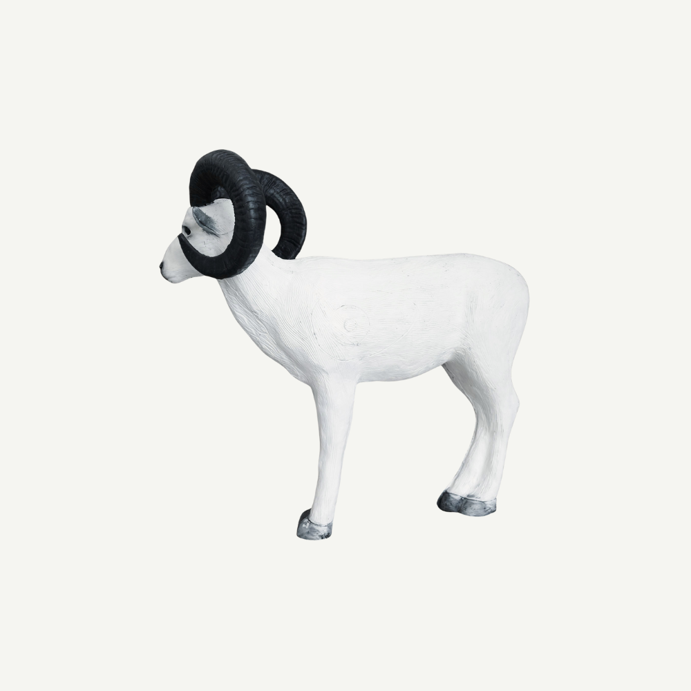 Leitold Standing Dall Sheep