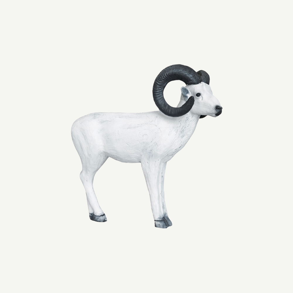Leitold Standing Dall Sheep