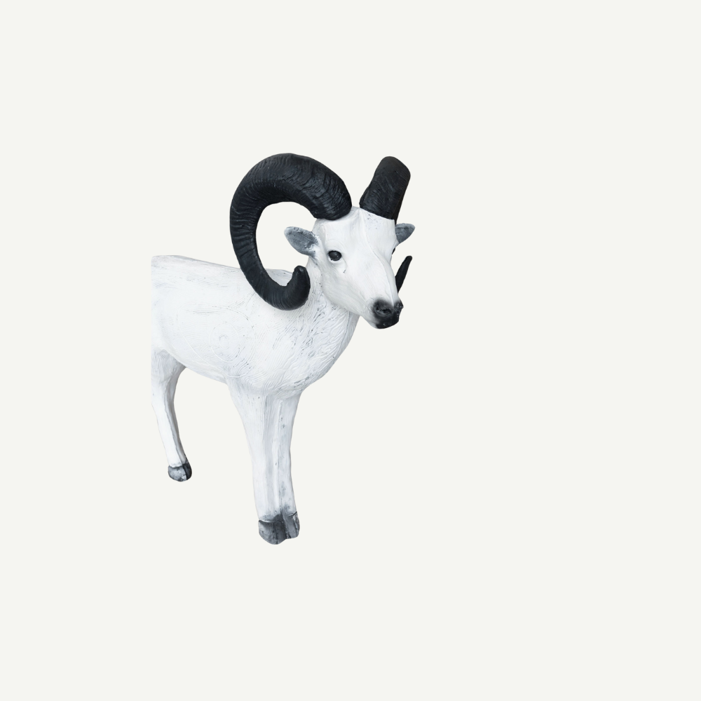 Leitold Standing Dall Sheep