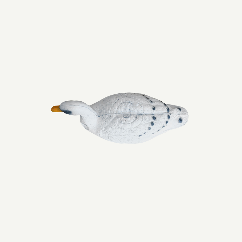 Leitold Swan