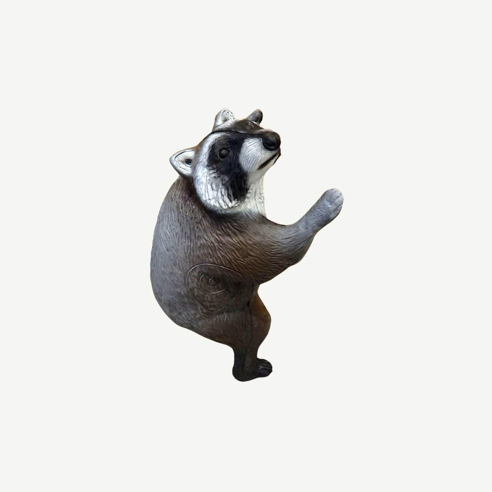 Leitold Climbing Raccoon