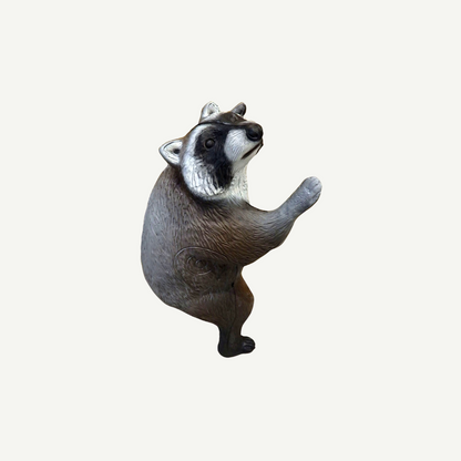 Leitold Climbing Raccoon