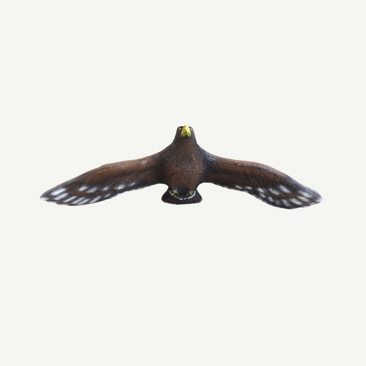 Leitold Flying Golden Eagle