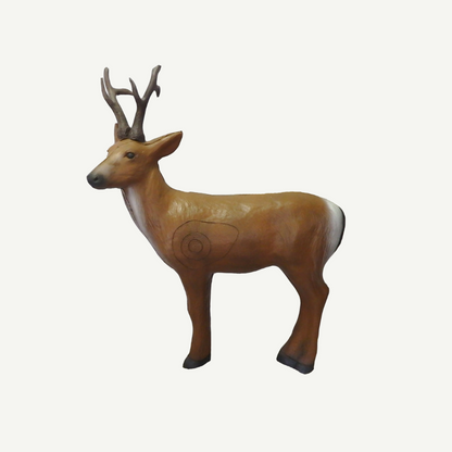 Leitold Siberian Buck