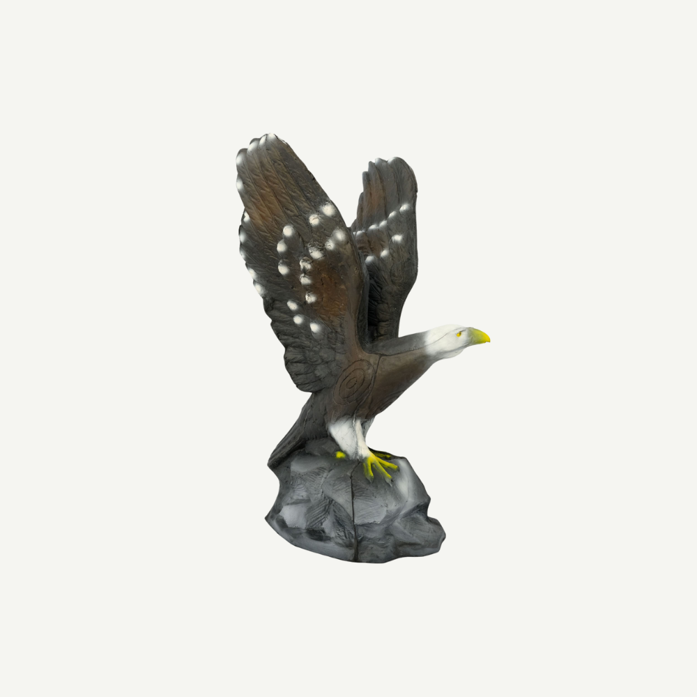 Leitold Bald Eagle