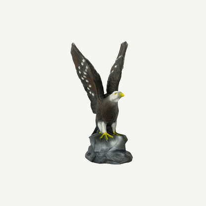 Leitold Bald Eagle