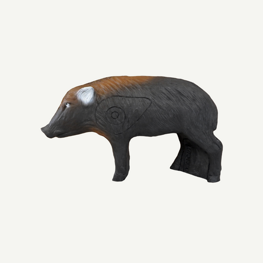 Leitold Young Wild Boar