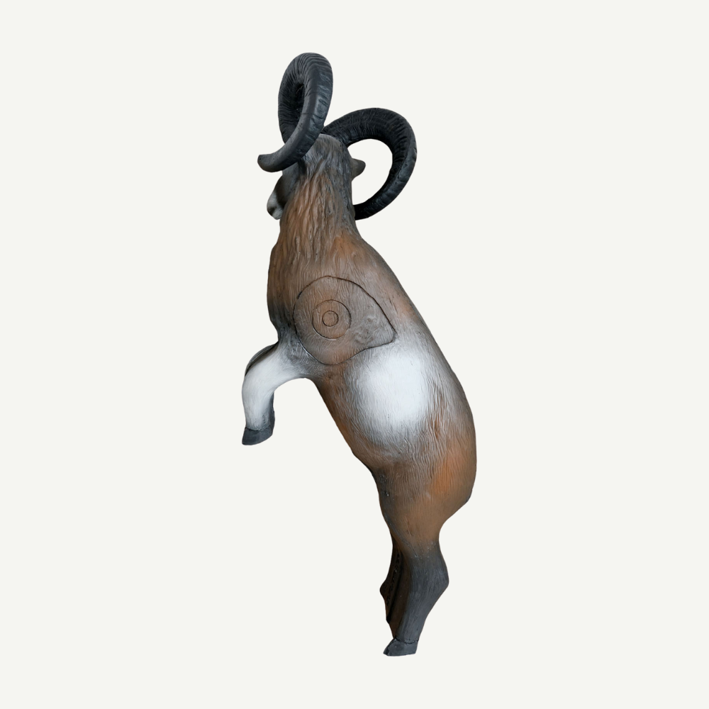 Leitold Mouflon on hind legs