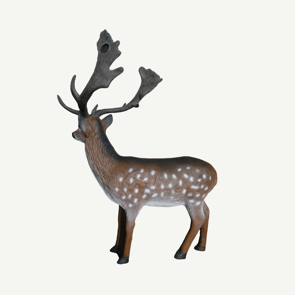 Leitold Fallow Deer