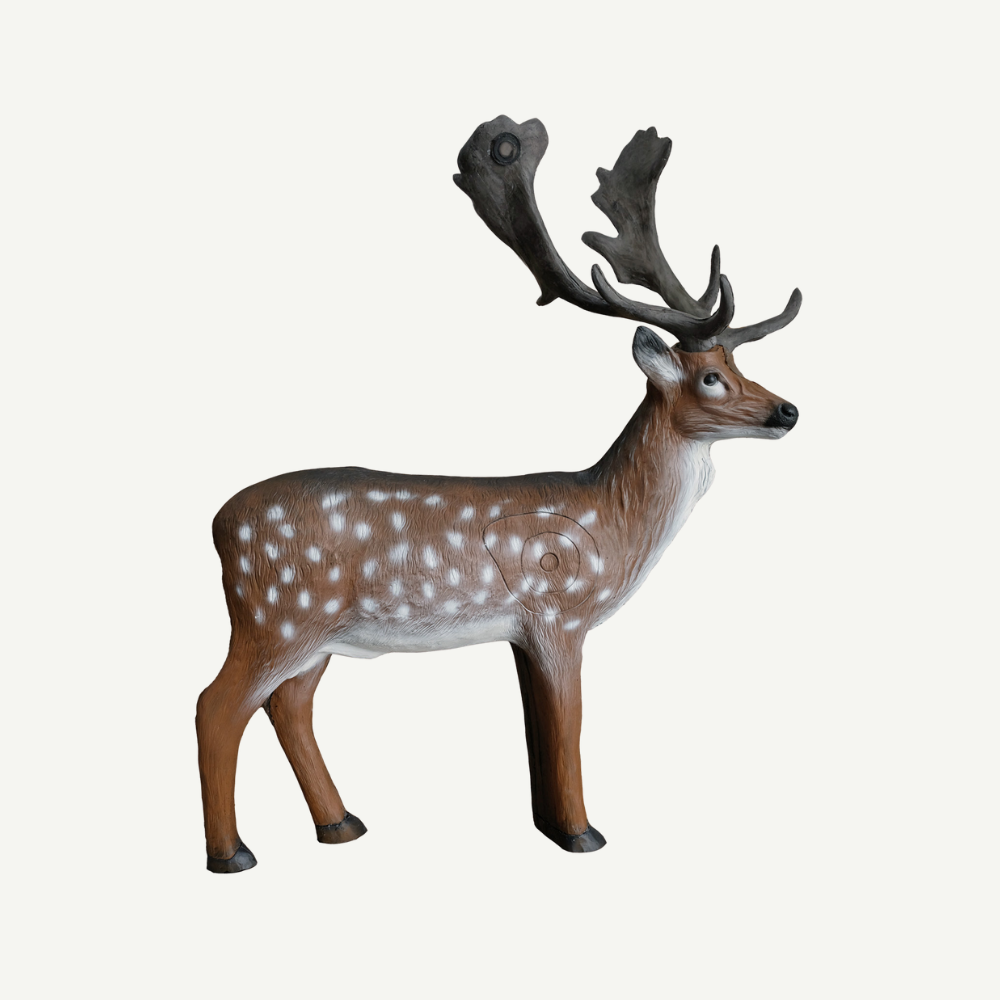 Leitold Fallow Deer