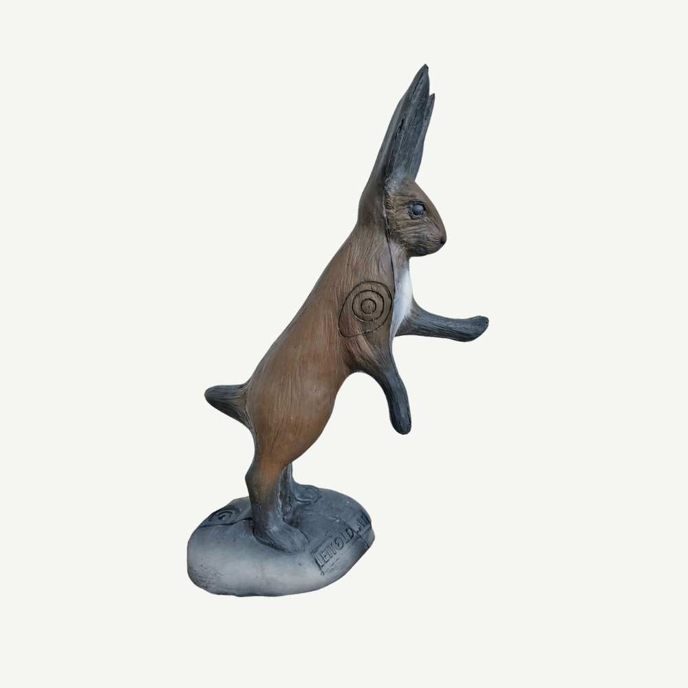 Leitold Hare on hind legs