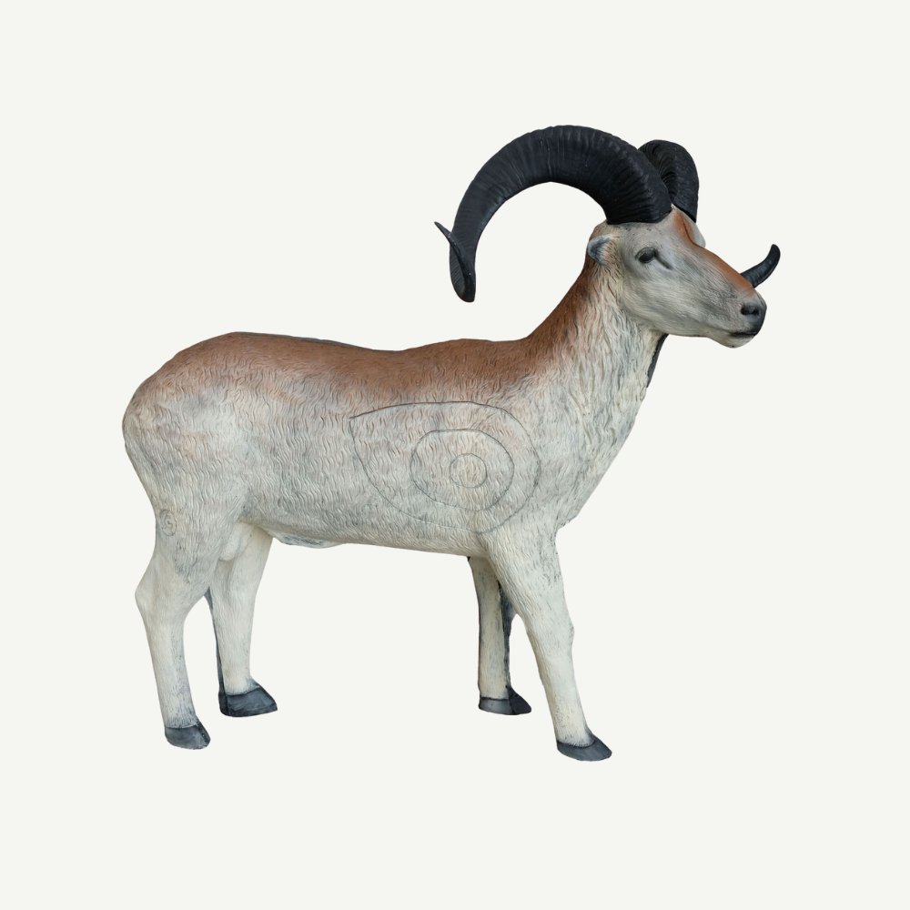 Leitold Marco Polo Sheep