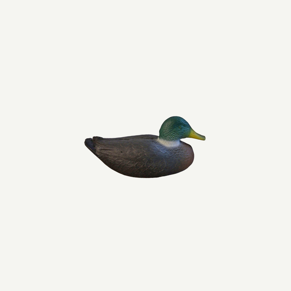 Leitold Duck