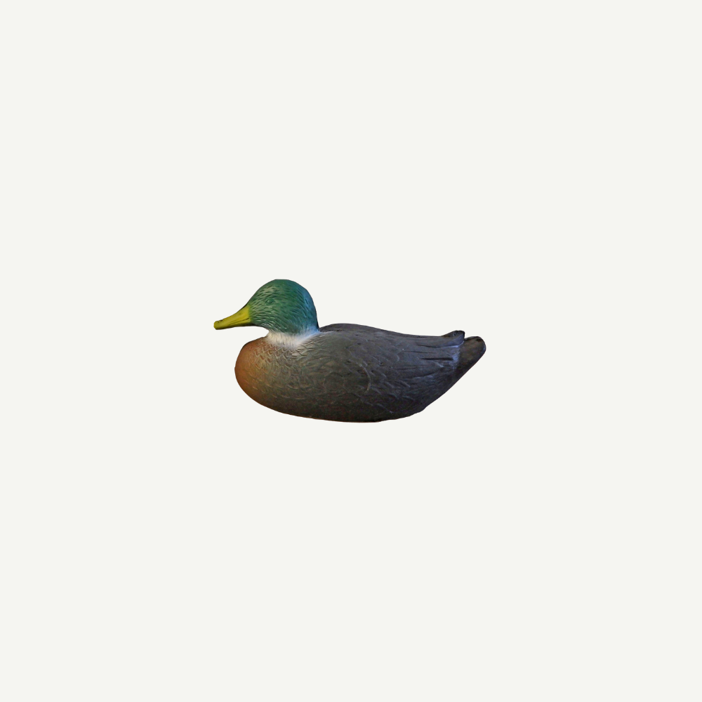 Leitold Duck