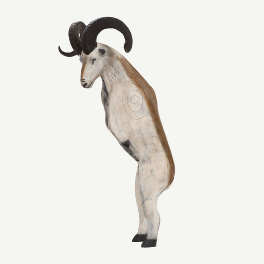 Leitold Marco Polo on hind legs
