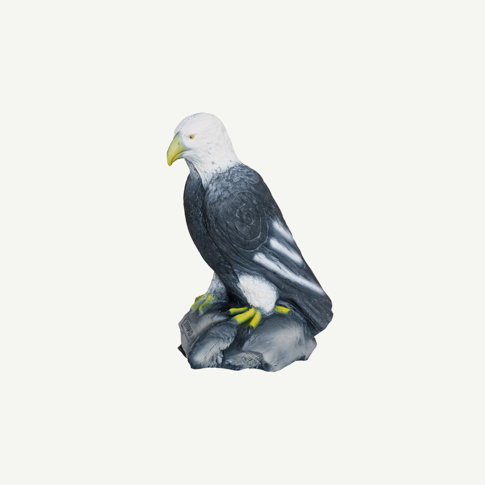Leitold Sitting Bald Eagle