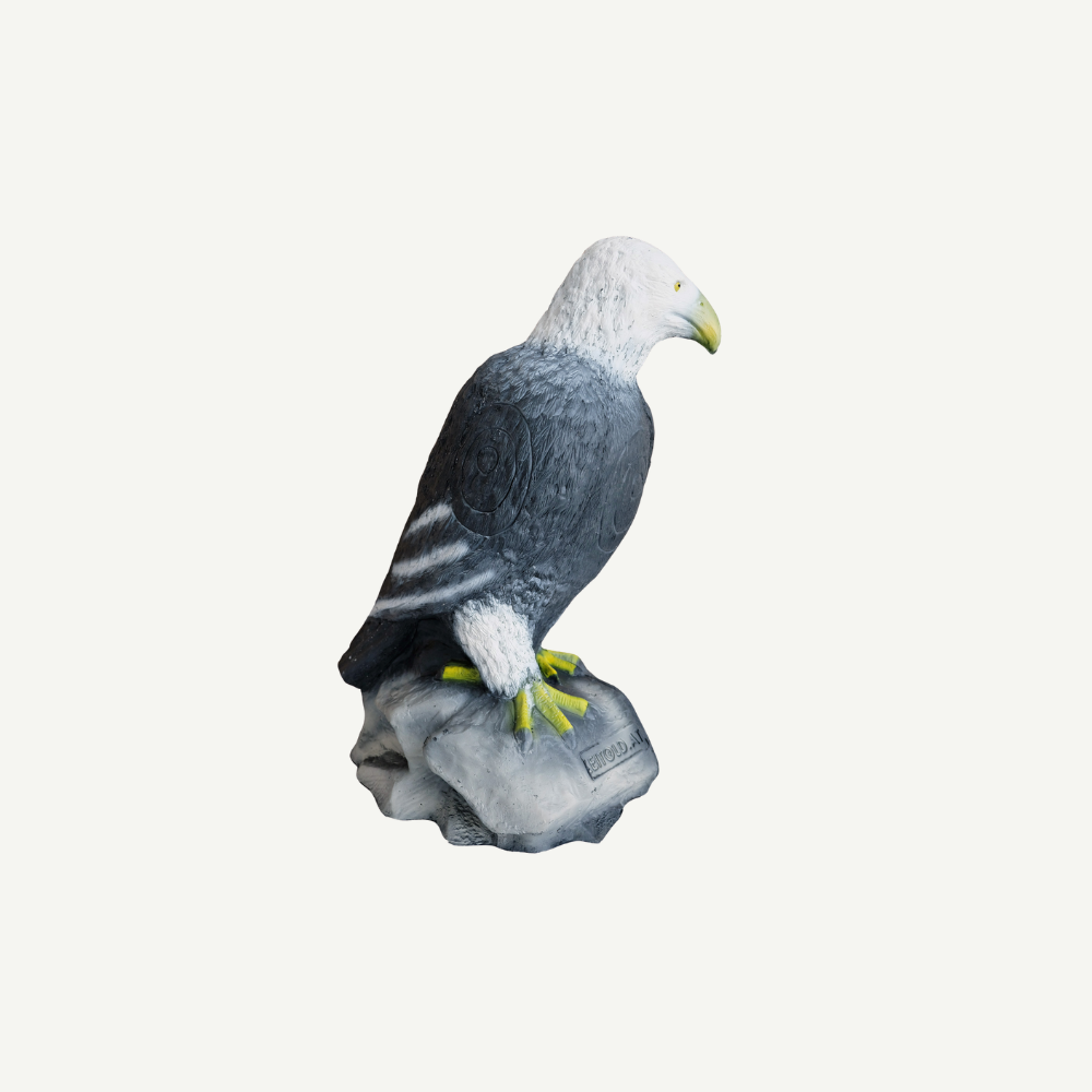 Leitold Sitting Bald Eagle