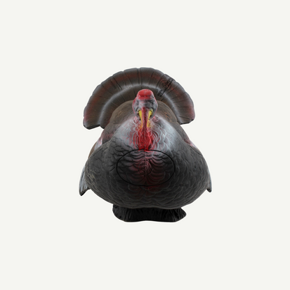 Longlife Courting Gobbler