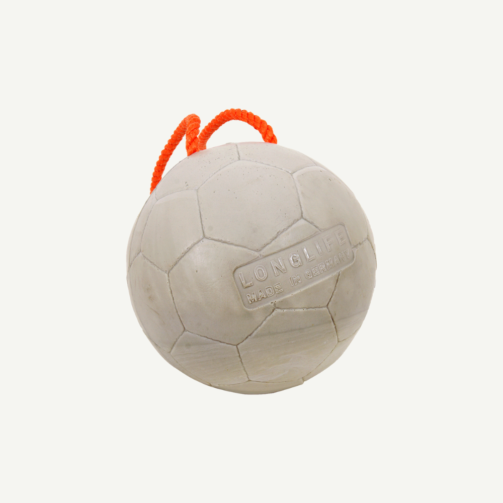 Longlife Ball