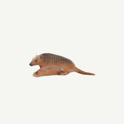 Longlife Armadillo
