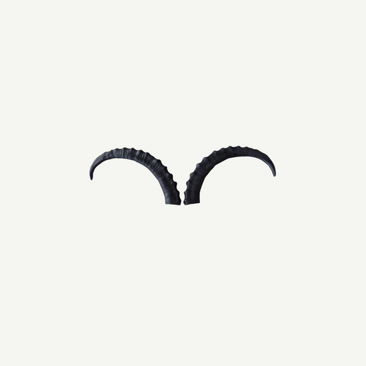 Leitold Ibex Horns (1 Pair)