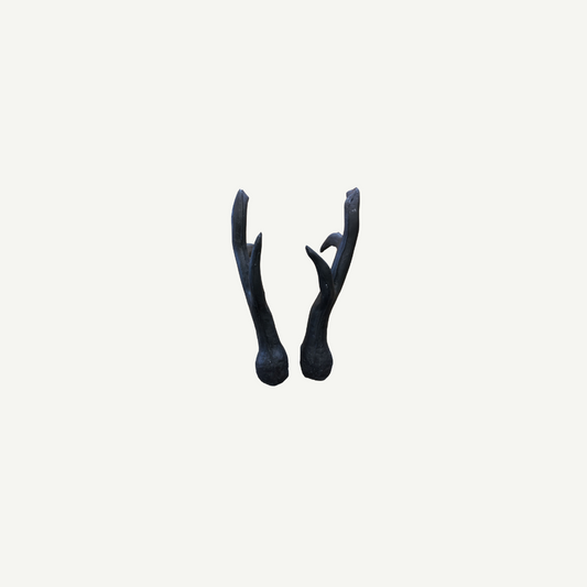 Leitold Roebuck Antler (1 Pair)