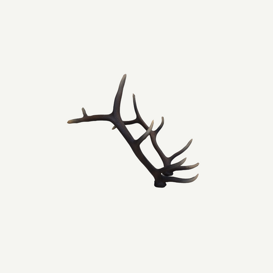Leitold Red Deer Antler (1 Pair)