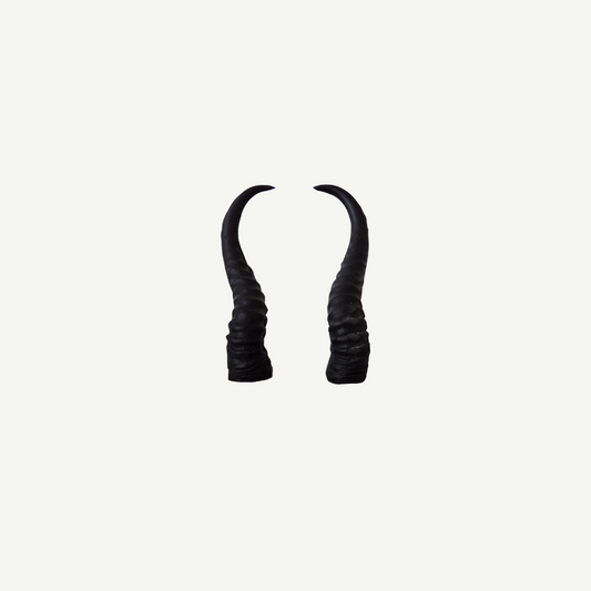 Leitold Springbuck Antler (1 Pair)