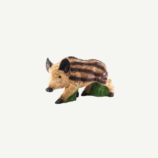 IBB 3D target young Boar