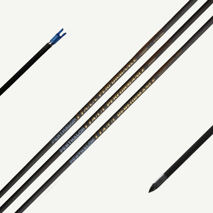 Penthalon Performance A/C/C aluminium-carbon shaft (12 pc)