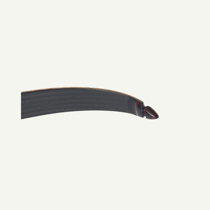 Bodnik Redman Carbon Recurve Bow