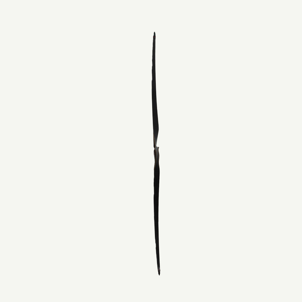 Bodnik Quick Stick Carbon Hybrid Longbow
