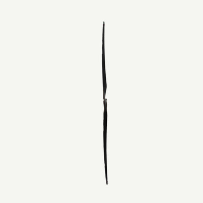 Bodnik Quick Stick Carbon Hybrid Longbow