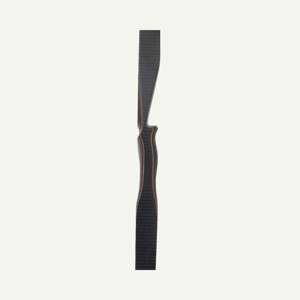 Bodnik Quick Stick Carbon Hybrid Longbow
