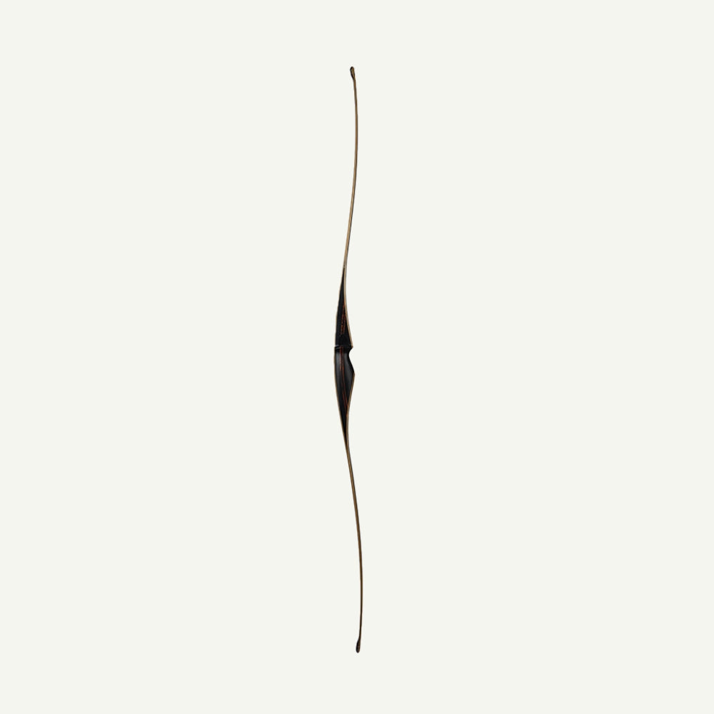 Bodnik Raven Carbon Longbow