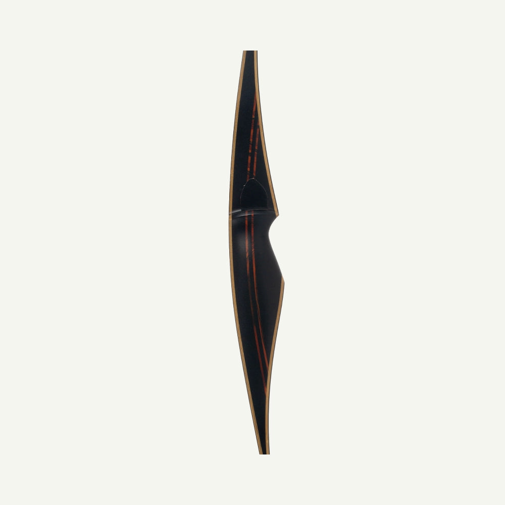 Bodnik Raven Carbon Longbow