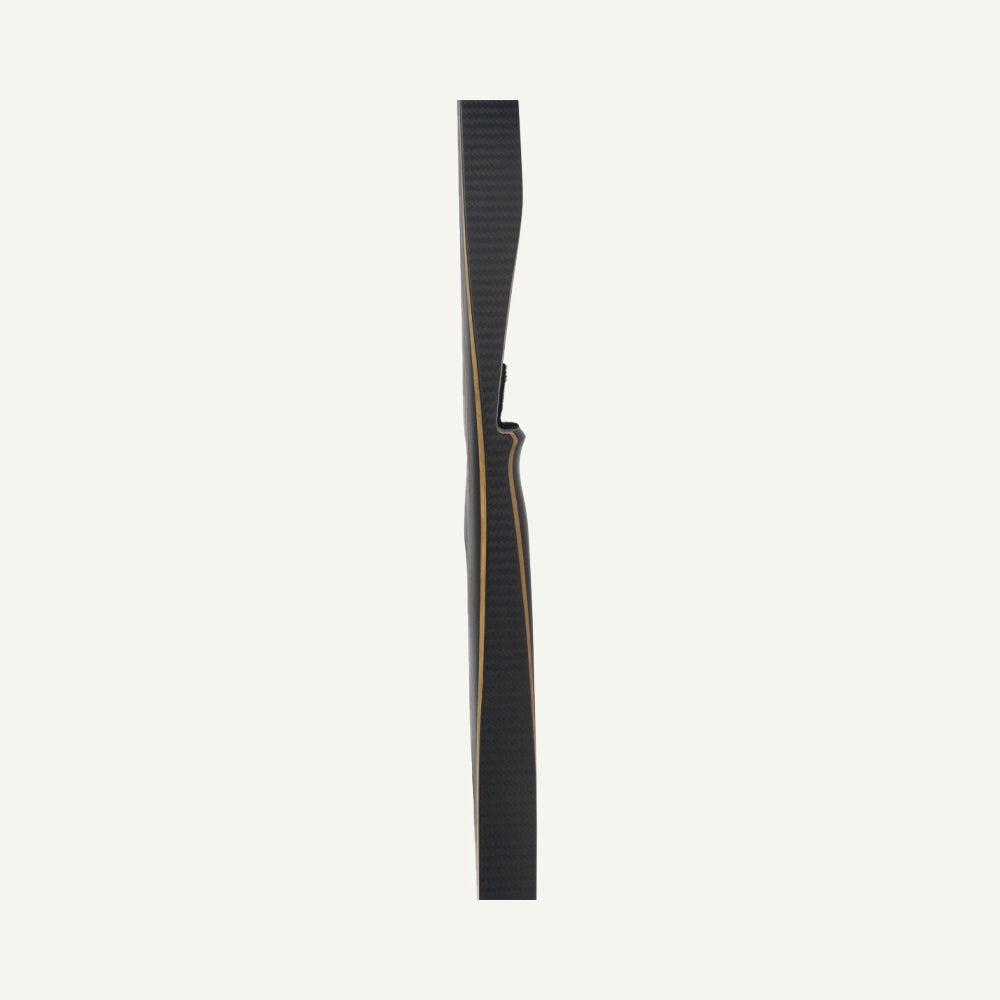 Bodnik Raven Carbon Longbow