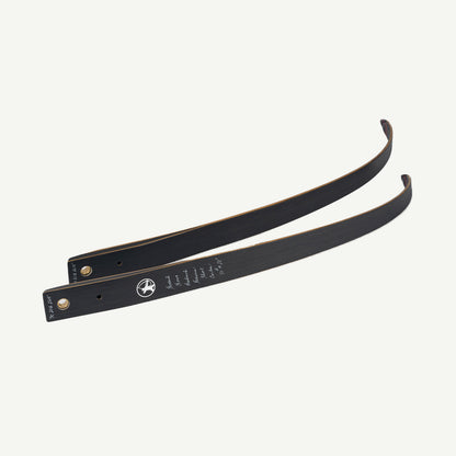 Bodnik Mohawk Limbs Recurve Short Carbon