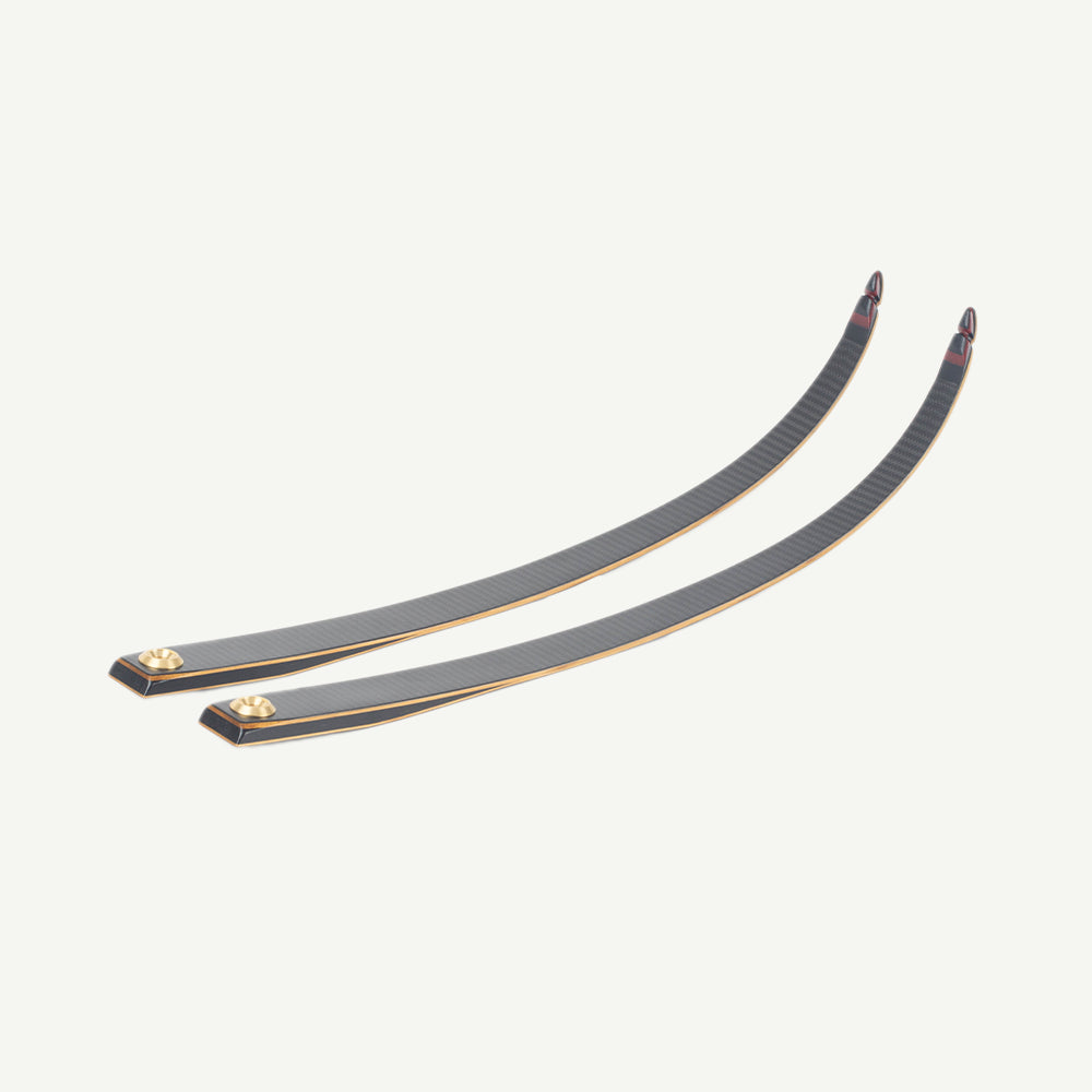Bodnik Mohawk Limbs Recurve Long Carbon
