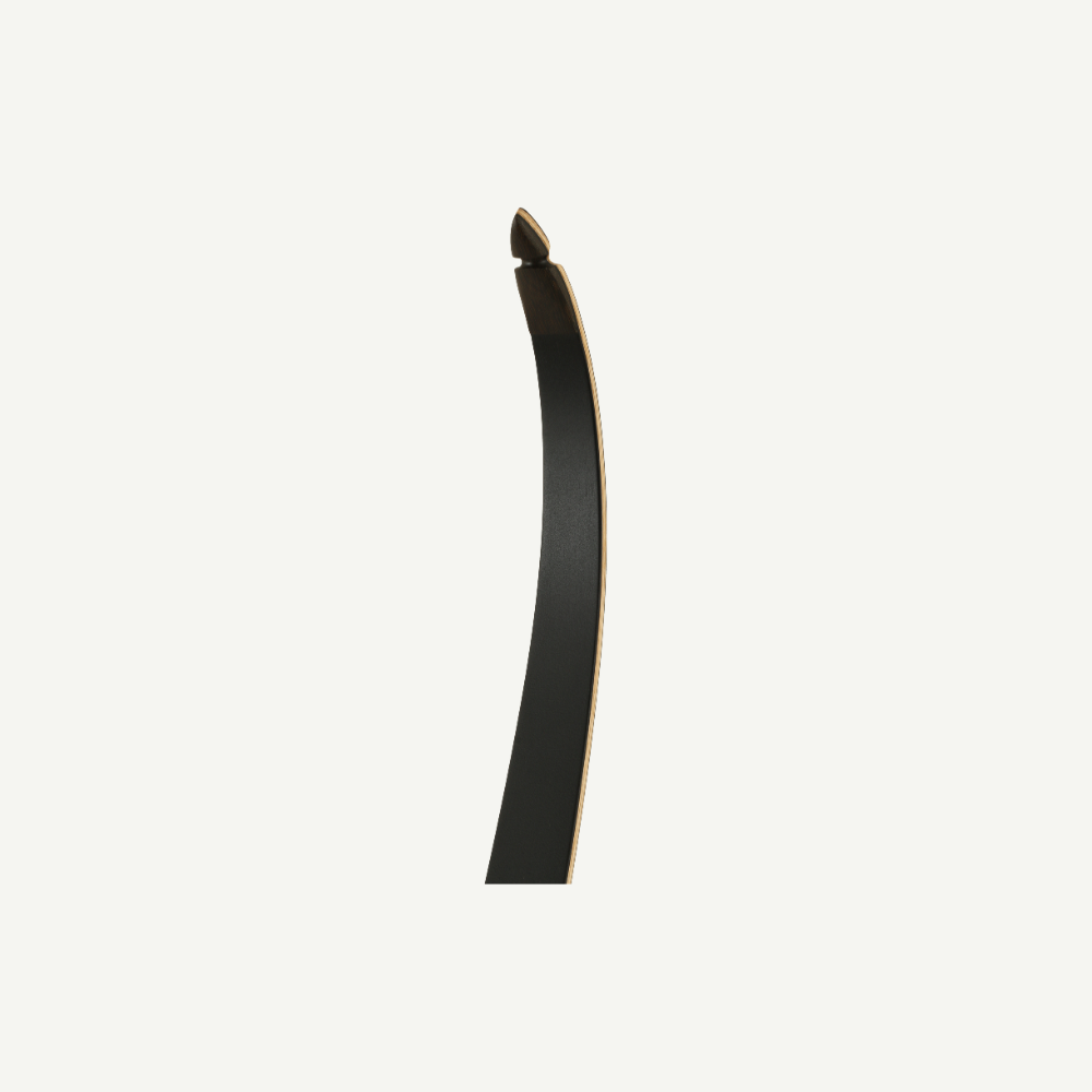 Bodnik Crow Recurve Bow